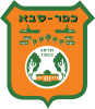 צביעת דירה בכפר סבא